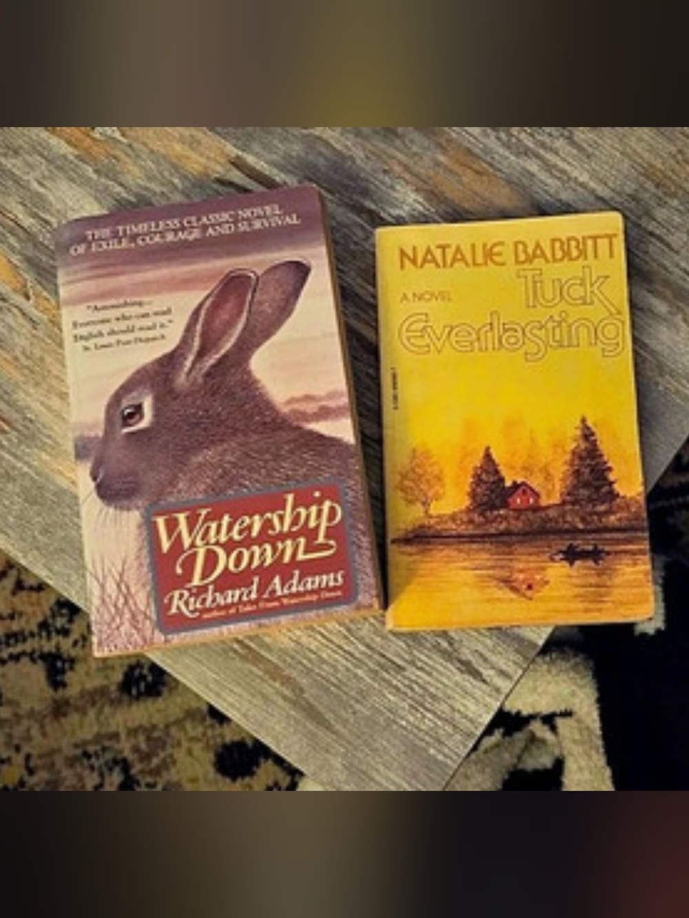 Vintage 70s/80s Middle School Nostalgia Book Bundle Set of 2